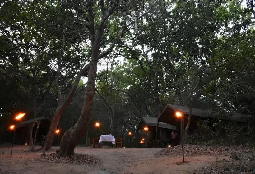 Hotelli Explorer By Eco Team   Kumana National Park