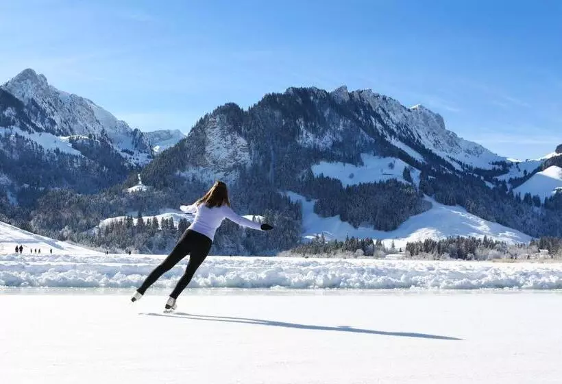 Hotelli Hostellerie Am Schwarzsee