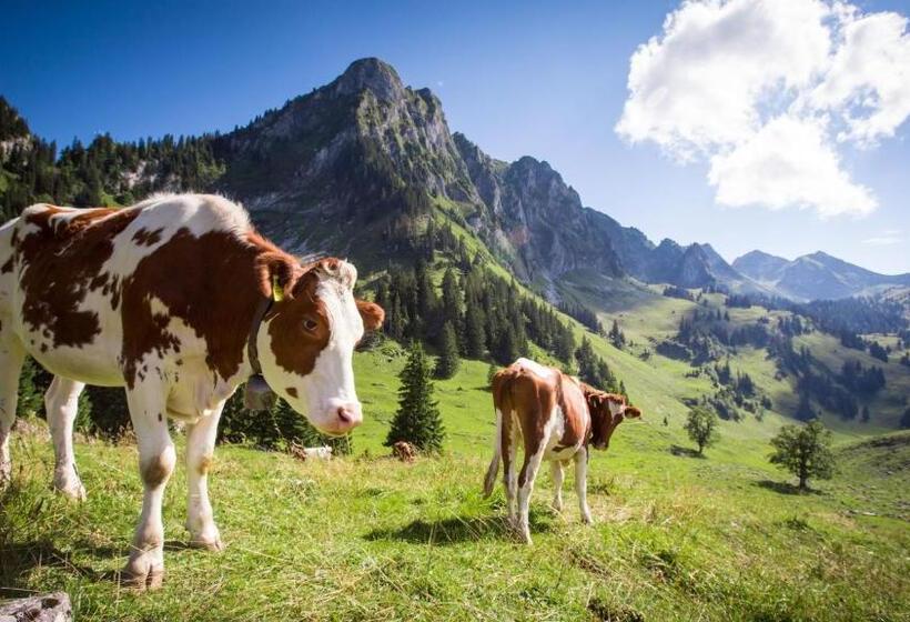 Szálloda Hostellerie Am Schwarzsee