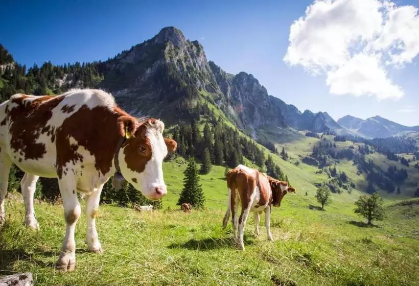 Hotelli Hostellerie Am Schwarzsee