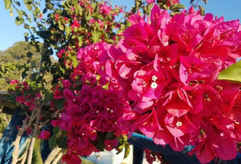 Отель Marinas Del Riachuelo