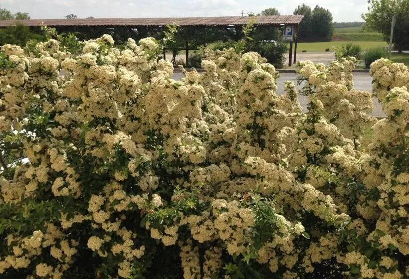 Hotelli Patyi étterem és