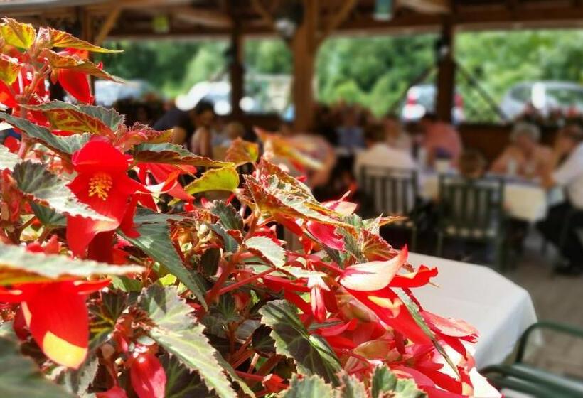 호텔 Restaurant Fischerwirt