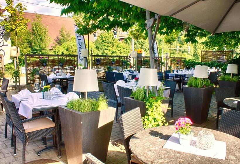 هتل & Restaurant Hofmatt