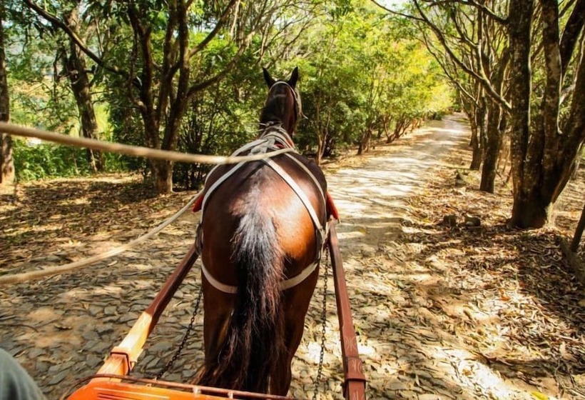 בית מלון כפרי Serra Da Moeda