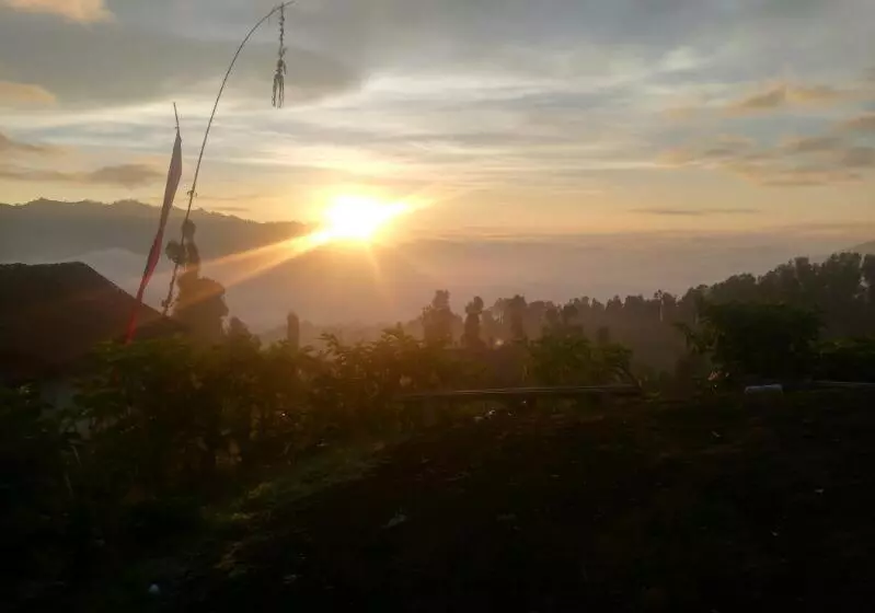 پانسیون Bromo Otix Guest House