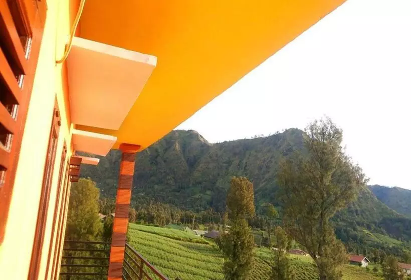 پانسیون Bromo Otix Guest House