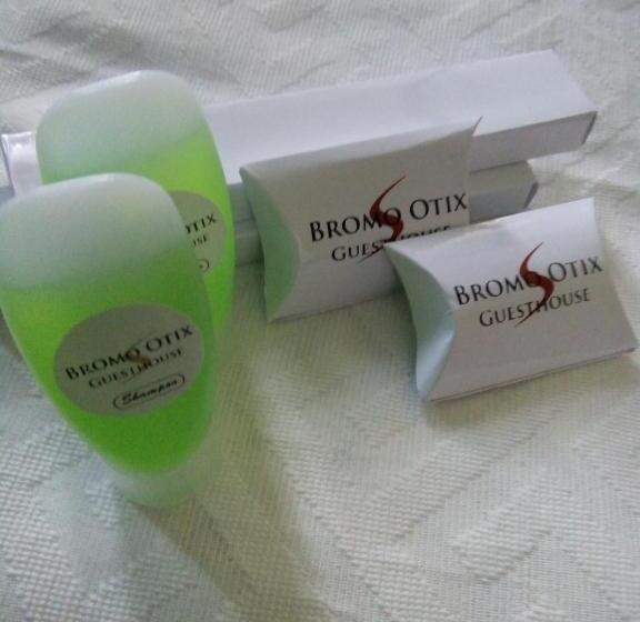 Pensjonat Bromo Otix Guest House