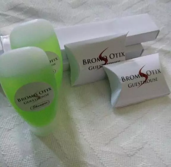 پانسیون Bromo Otix Guest House