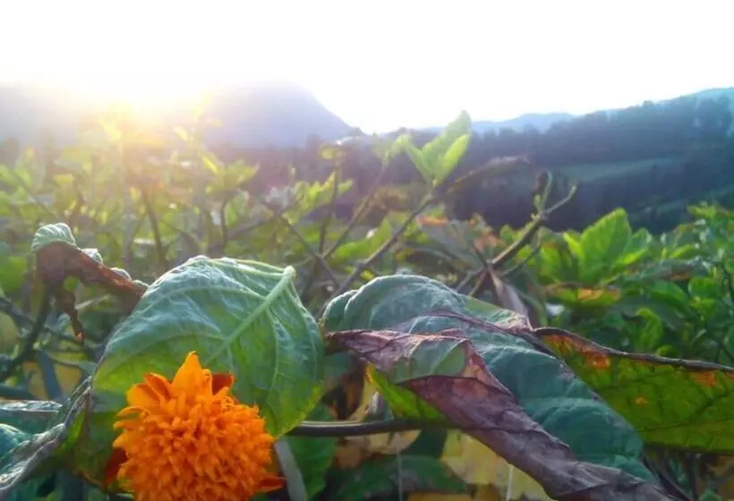 پانسیون Bromo Otix Guest House