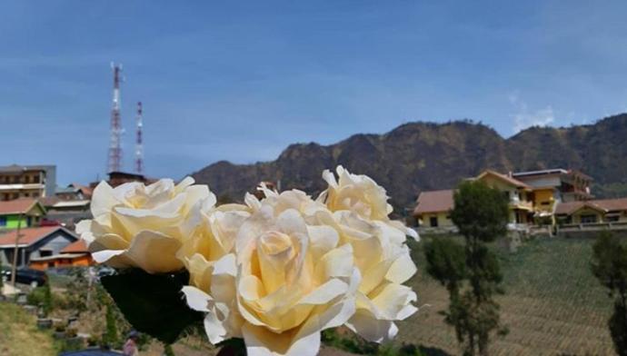 Pensjonat Bromo Otix Guest House