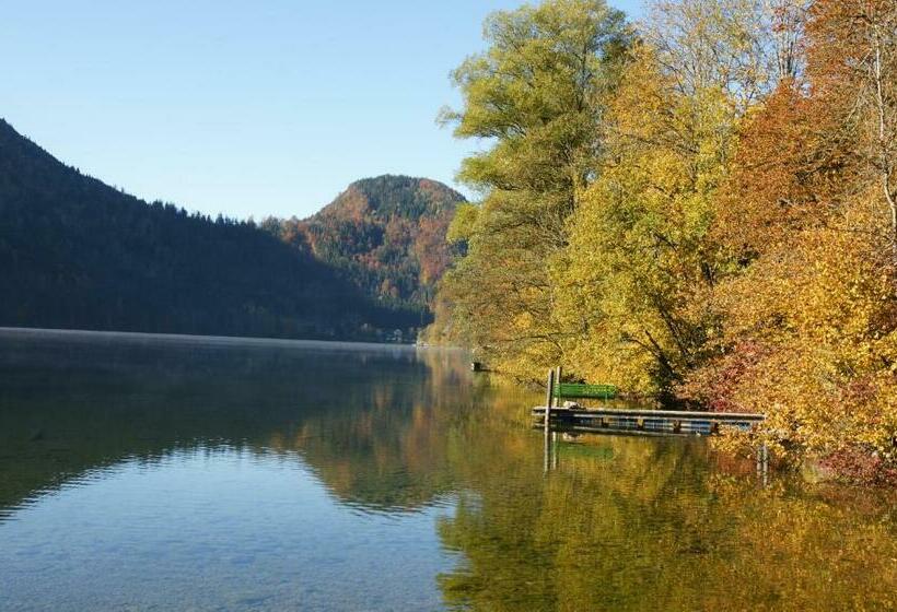 ペンション Landhotel Zellerhof