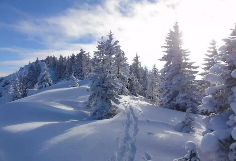 Majatalo Landhotel Zellerhof