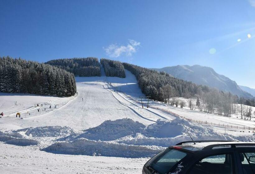 ペンション Landhotel Zellerhof