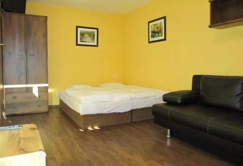 ペンション Penzion Vinařský Dvorek