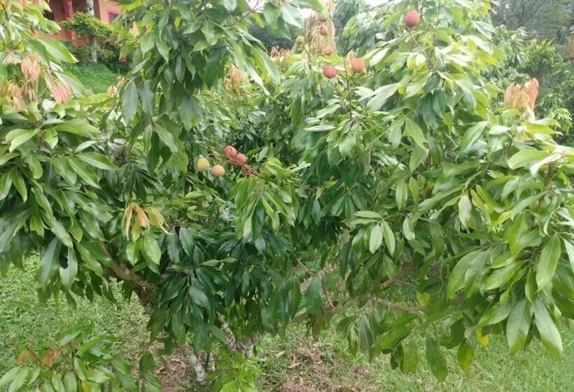 Majatalo Pousada Recanto águas Vivas