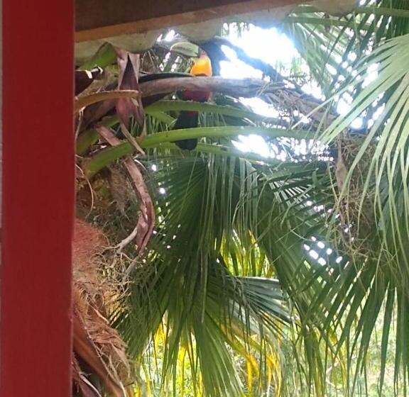 ペンション Pousada Recanto águas Vivas