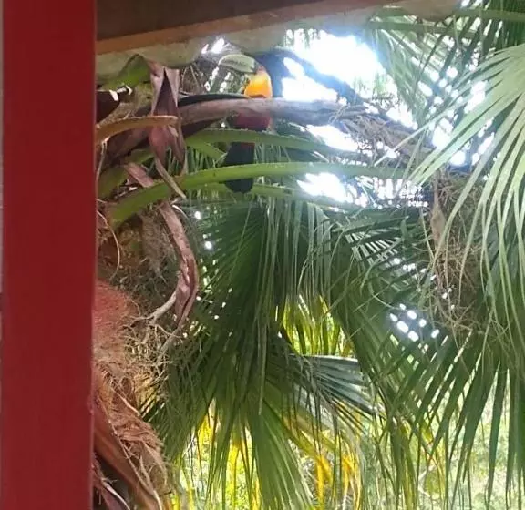 Majatalo Pousada Recanto águas Vivas