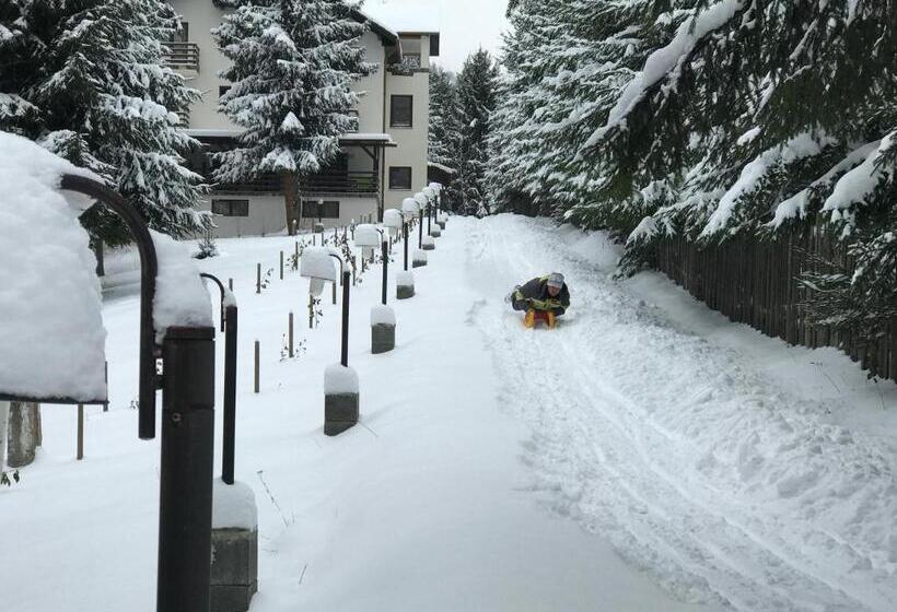 پانسیون Casa Laur Cu Plajă Privată