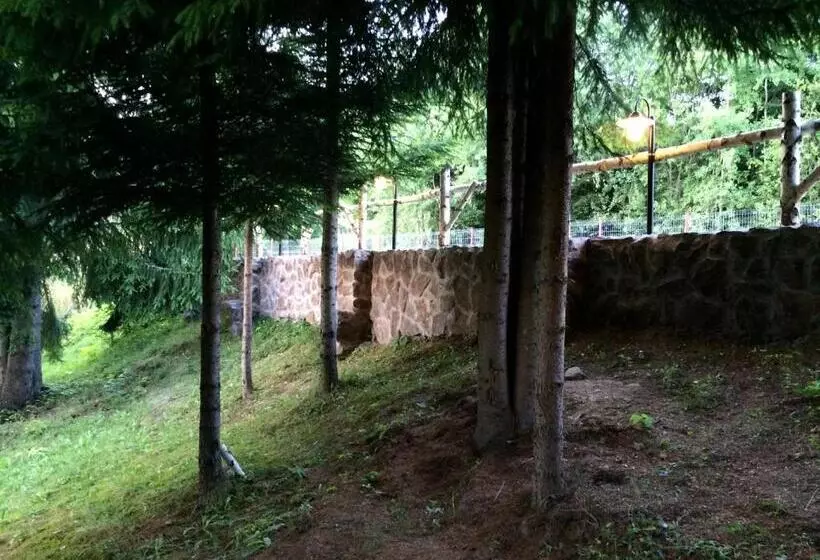 ペンション Casa Laur Cu Plajă Privată