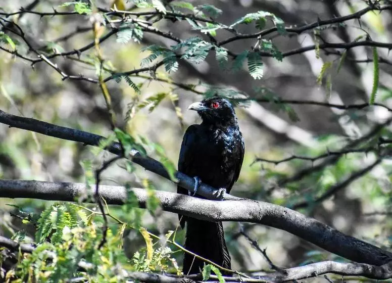 Lomakeskus Brij Lakshman Sagar, Pali