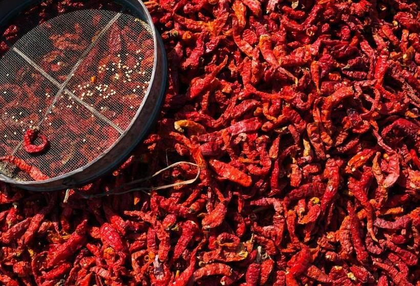 渡假胜地 Brij Lakshman Sagar, Pali