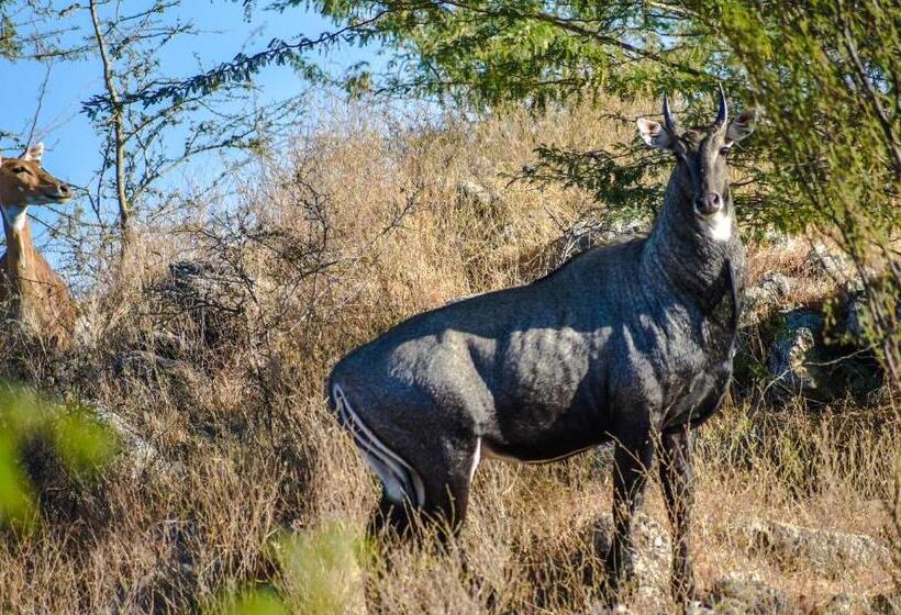 渡假胜地 Brij Lakshman Sagar, Pali