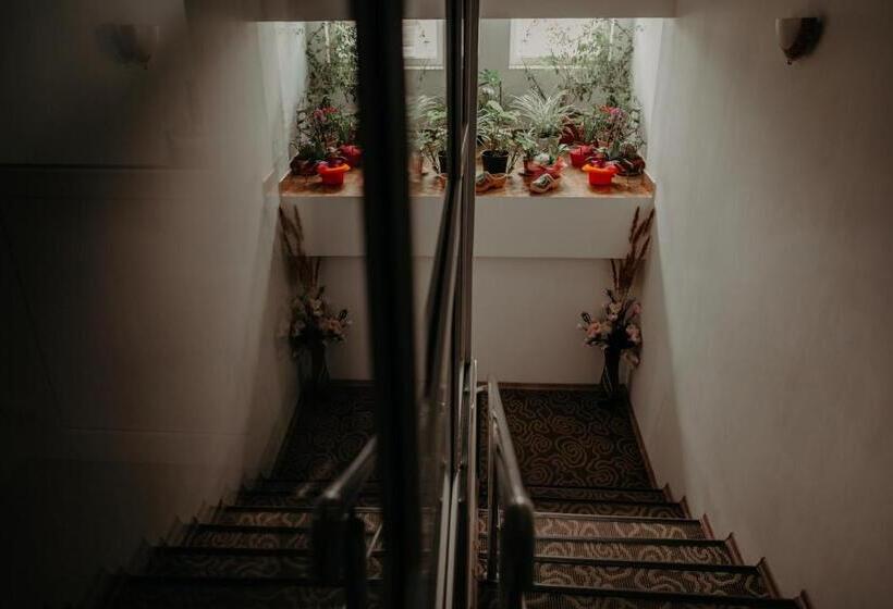 渡假胜地 Juliana Platinum Brad