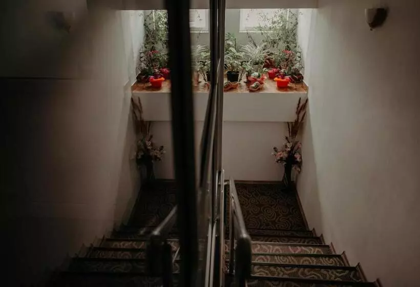 リゾートホテル Juliana Platinum Brad