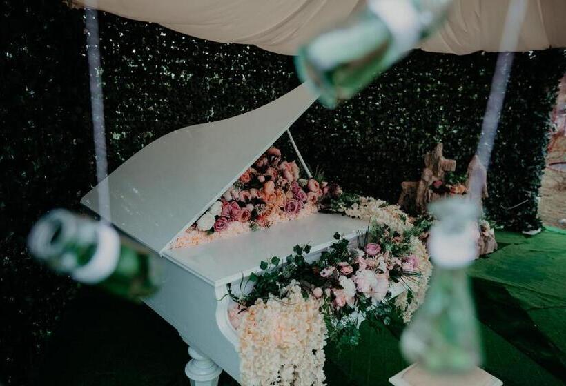 渡假胜地 Juliana Platinum Brad