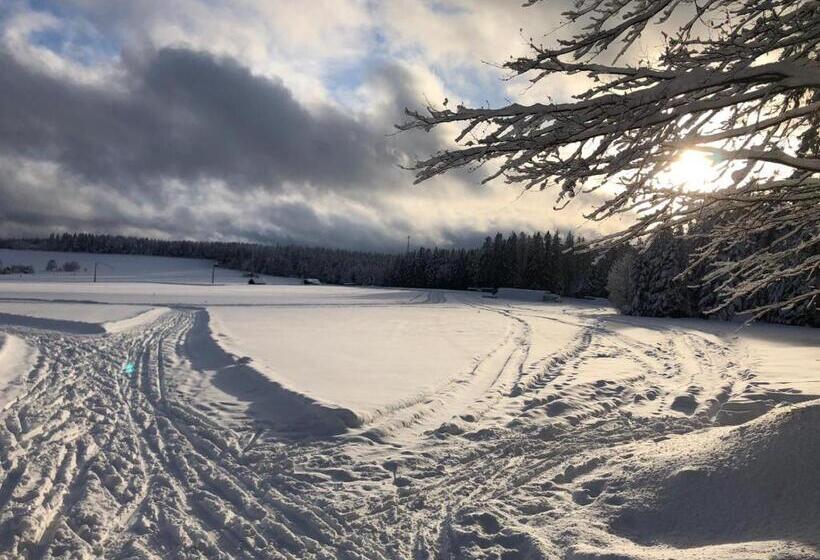 Schwarzwaldhotel Oberwiesenhof