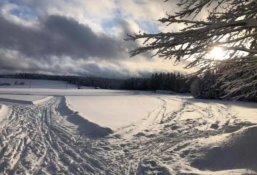 Schwarzwaldhotel Oberwiesenhof