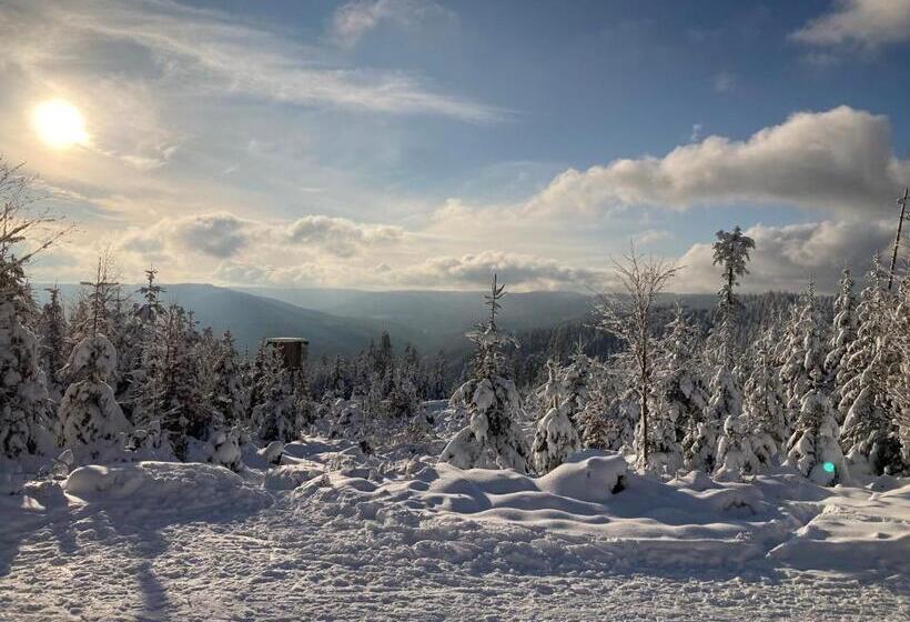 Schwarzwaldhotel Oberwiesenhof