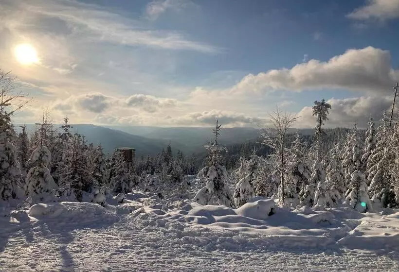 Schwarzwaldhotel Oberwiesenhof