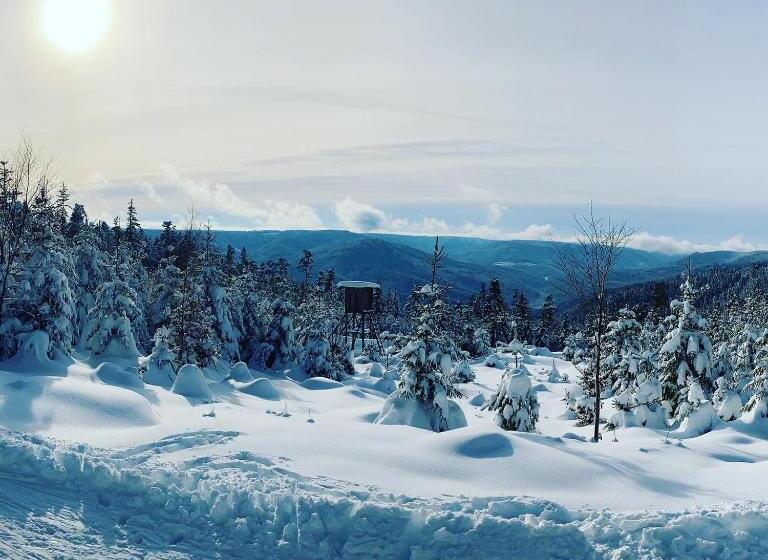Schwarzwaldhotel Oberwiesenhof