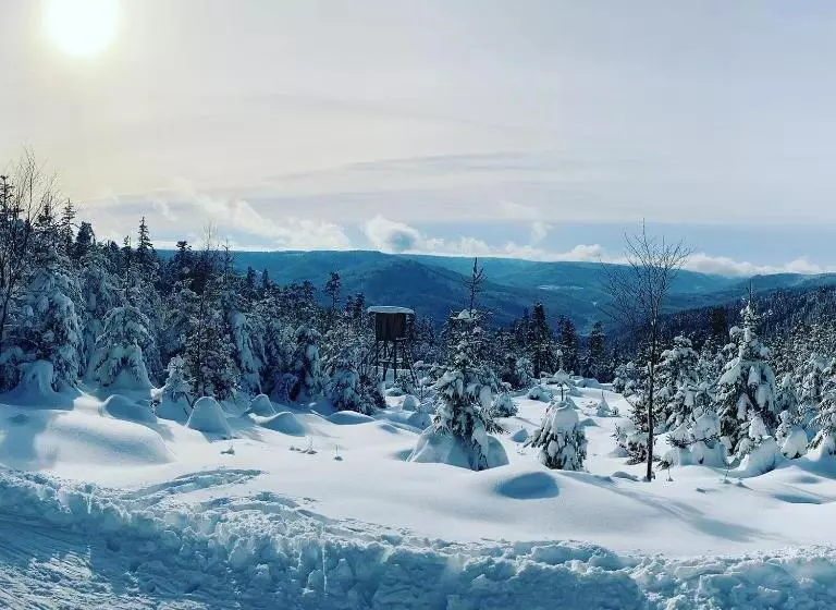 Schwarzwaldhotel Oberwiesenhof