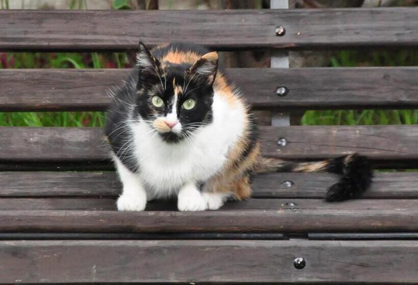 הוסטל Museo La Posada Del Molino