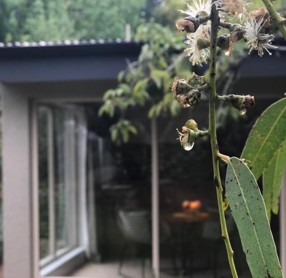 مبيت وإفطار Adelaide Hills Retreats