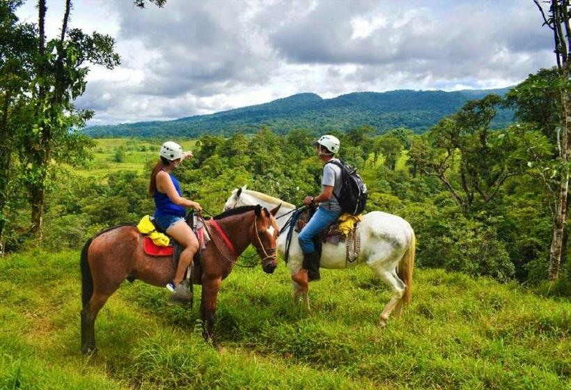 ベッドアンドブレックファースト Cabinas Río Celeste La Amistad