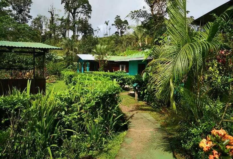 Aamiaismajoitus (B&B) Cabinas Río Celeste La Amistad