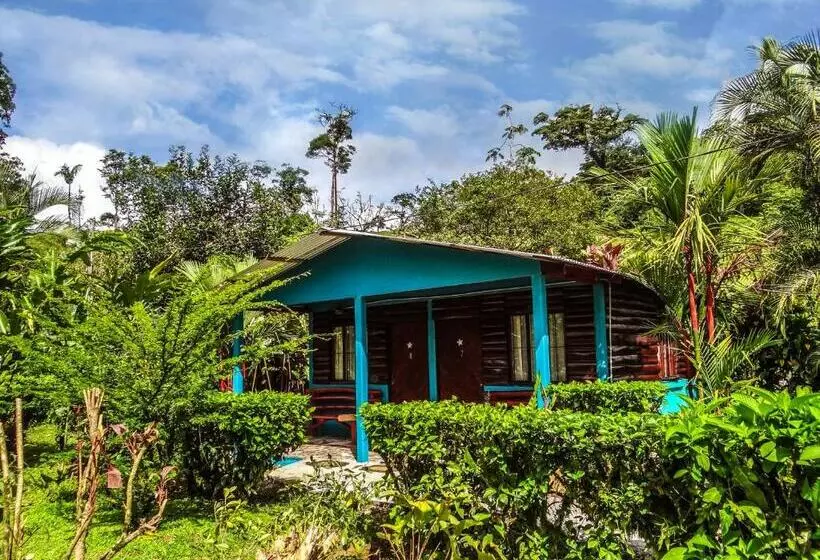 Aamiaismajoitus (B&B) Cabinas Río Celeste La Amistad