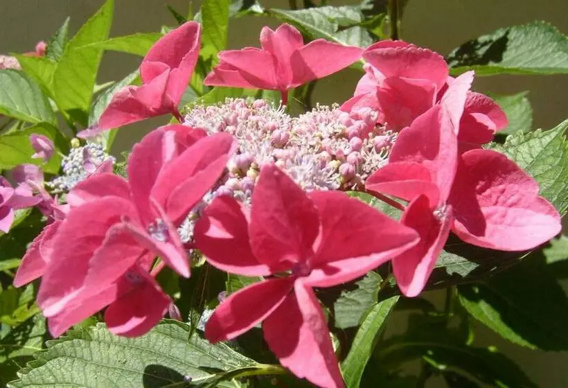 Aamiaismajoitus (B&B) Chambres D Hôtes D Evelyne