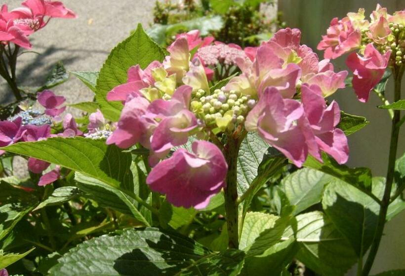 Bed and Breakfast Chambres D Hôtes D Evelyne