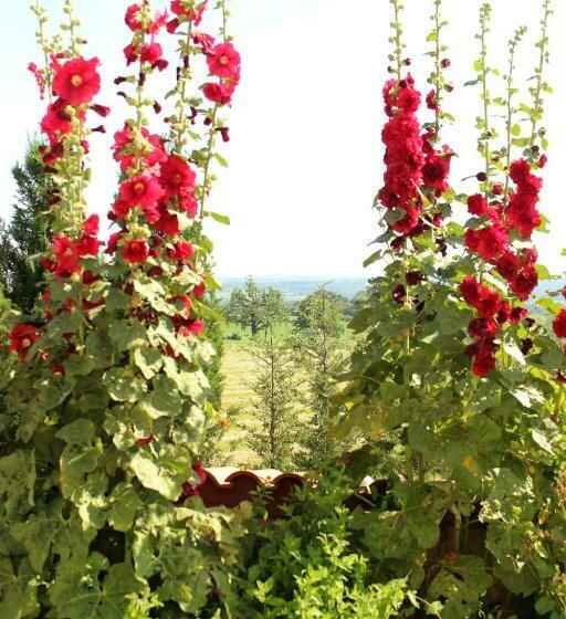 민박 Le Clos Des Malézolles