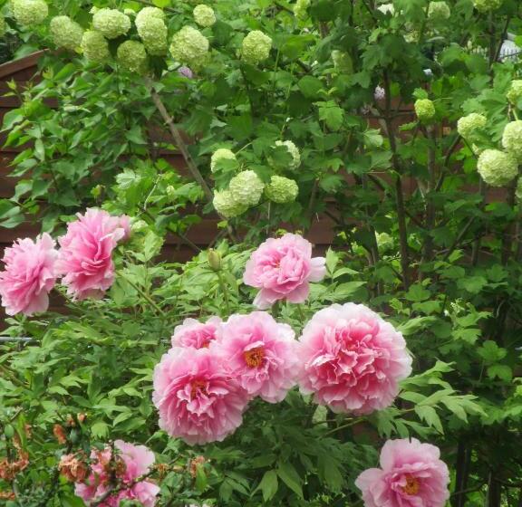 צימר Le Mas Du Fort