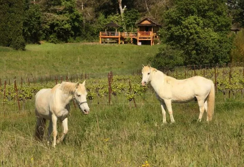 Aamiaismajoitus (B&B) Mas D Alphonse