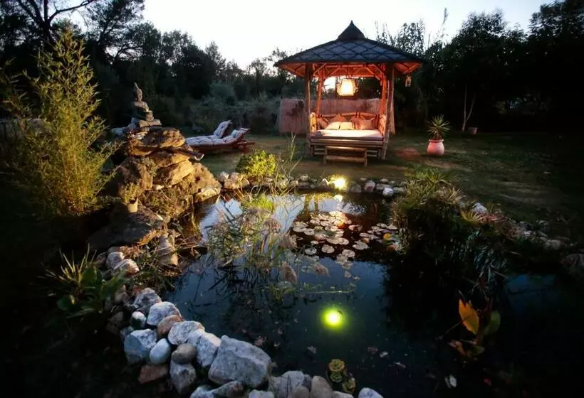 Aamiaismajoitus (B&B) Mas D Alphonse