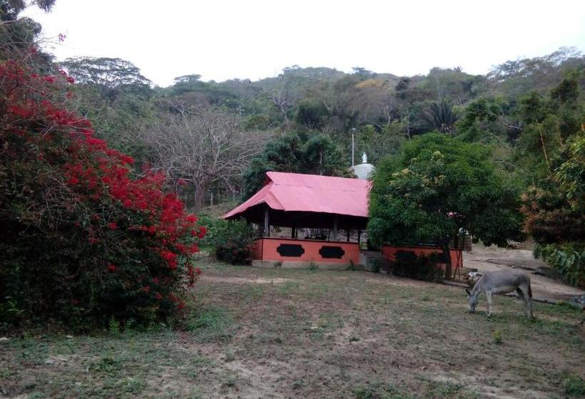 Hostel Finca La Gordita