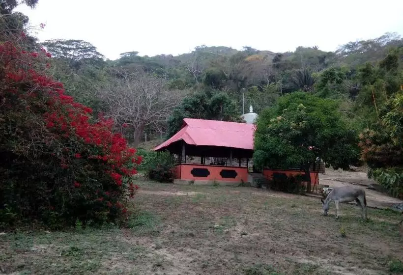 Hostel Finca La Gordita