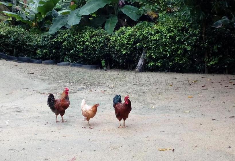 Hostel Finca La Gordita